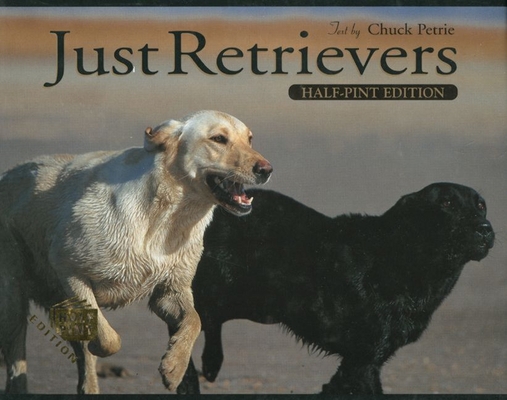 Retriever Training: A Back-To-Basics Approach 1572233915 Book Cover