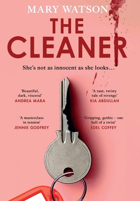 The Cleaner 0857506048 Book Cover