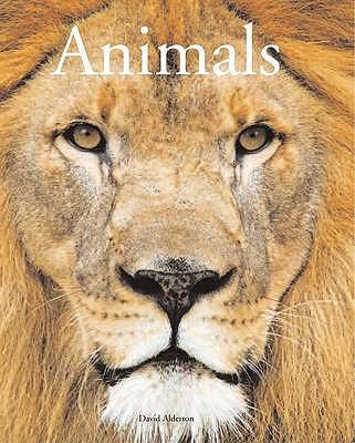 Encyclopedia of Animals 1906842019 Book Cover