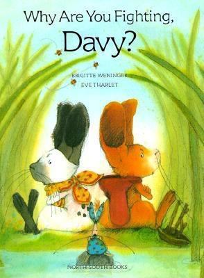 Why Are You Fighting, Davy? 0735810737 Book Cover