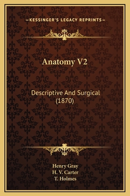 Anatomy V2: Descriptive And Surgical (1870) 1169335802 Book Cover