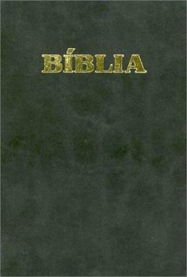 Portuguese Bible [Portuguese] 1585162043 Book Cover