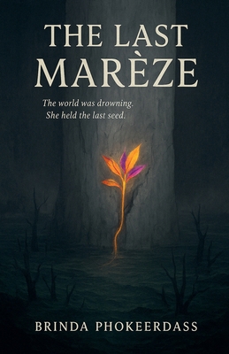 The Last Marèze B0FTNDGXKF Book Cover