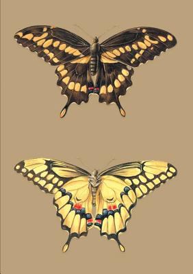 Carnet Blanc, Papillons Cresphontes [French] 2011167914 Book Cover
