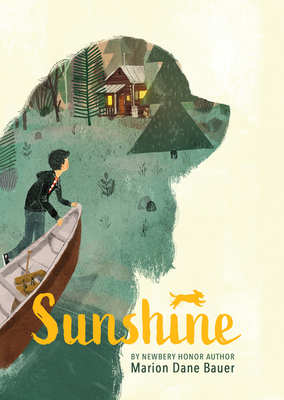 Sunshine [Large Print] B0BYFCZTD3 Book Cover