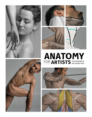 Anatomy for Artists: A Visual Guide to the Huma... 1912843102 Book Cover