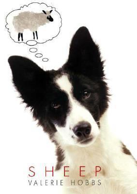 Sheep 0374367779 Book Cover