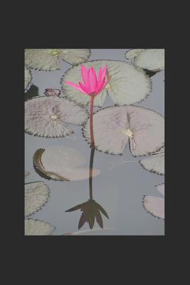 One Year Sermon Notes: Bible Companion 1093893133 Book Cover