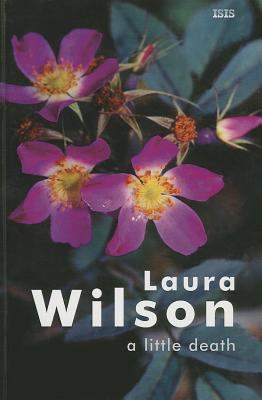 A Little Death [Large Print] 0753166771 Book Cover