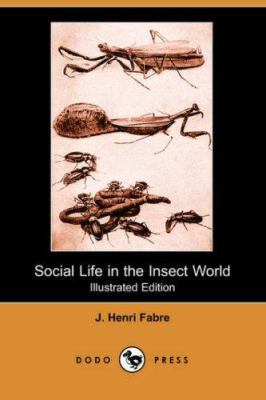 Social Life in the Insect World (Illustrated Ed... 1406516562 Book Cover