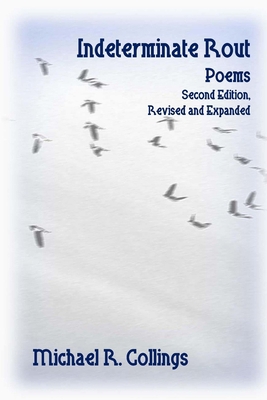 Indeterminate Rout: Birds--Real and Otherwise 1544626088 Book Cover