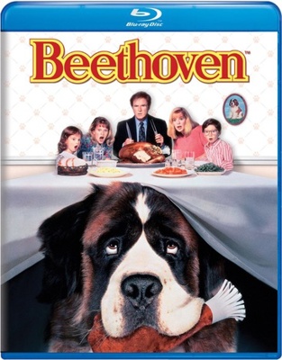 Beethoven            Book Cover