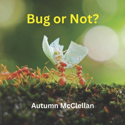 Bug or Not? B0CZSP5KMS Book Cover
