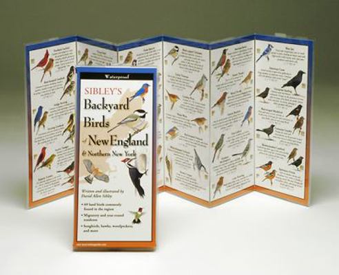 Sibley's Backyard Birds of the Northeast 1935380087 Book Cover
