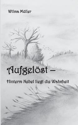 Aufgelöst: Hinterm Nebel liegt die Wahrheit [German] 3748158785 Book Cover