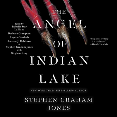 The Angel of Indian Lake 1797170821 Book Cover