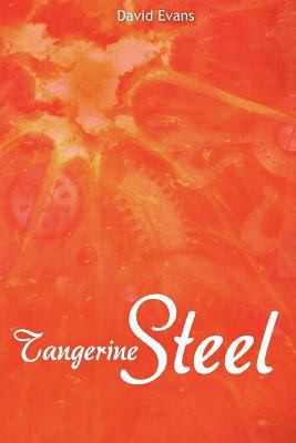Tangerine Steel: A Life Story 1466372761 Book Cover