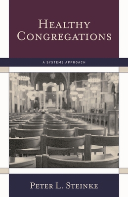 Healthy Congregations: A Systems Approach 156699330X Book Cover