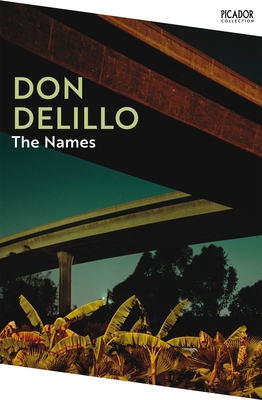 The Names (Picador Collection) 1529092108 Book Cover