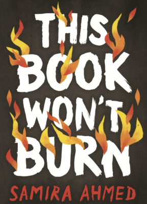 This Book Won't Burn B0GMZBQBJM Book Cover