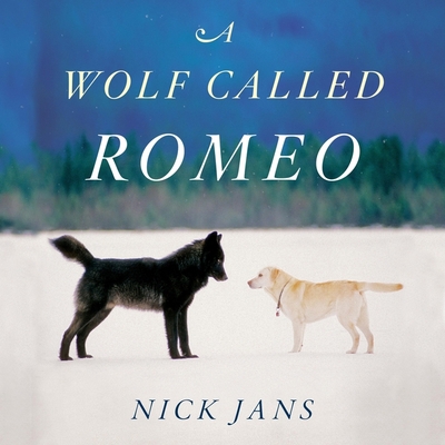 A Wolf Called Romeo Book Cover