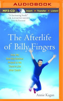 The Afterlife of Billy Fingers: How My Bad-Boy ... 1491534583 Book Cover