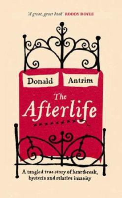 Afterlife 0316729795 Book Cover