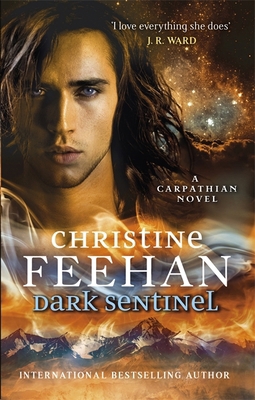 Dark Sentinel 0349419779 Book Cover