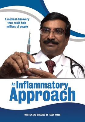An Inflammatory Approach            Book Cover