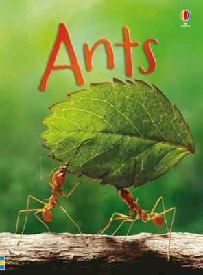 Ants IR 0794536654 Book Cover