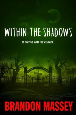 Within the Shadows 0991339630 Book Cover