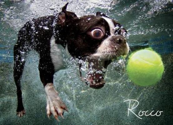 Underwater Dogs: Rocco 1000-Piece Puzzle 1623430593 Book Cover