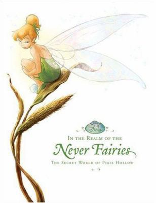 In the Realm of the Never Fairies: Secret World... 0786847654 Book Cover