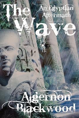 The Wave: An Egyptian Aftermath 1434434052 Book Cover