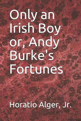 Only an Irish Boy or, Andy Burke's Fortunes 1097311910 Book Cover