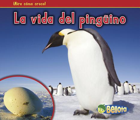 La Vida del Ping?ino = The Life of a Penguin [Spanish] 1432952919 Book Cover