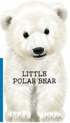 Little Polar Bear 0764168800 Book Cover