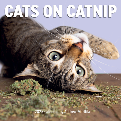 Cats on Catnip Wall Calendar 2025 152352636X Book Cover