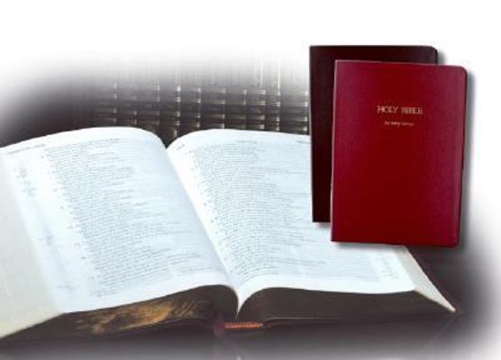 Holy Bible: Recovery Version 0736324208 Book Cover