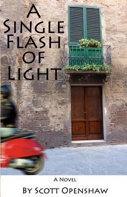 A Single Flash of Light 147910714X Book Cover