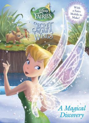 MAGICAL DISCOVERY - 0736428933 Book Cover