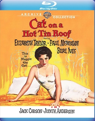 Cat On A Hot Tin Roof            Book Cover