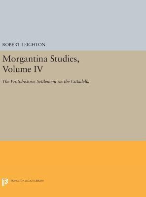 Morgantina Studies, Volume IV: The Protohistori... 0691634505 Book Cover