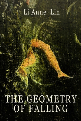 The Geometry of Falling 1998648672 Book Cover
