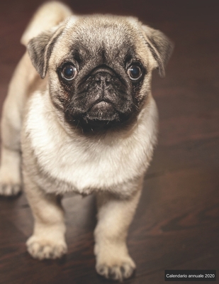 Calendario annuale 2020: &#9830; Manuale dell'o... [Italian] 1698809654 Book Cover