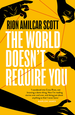 The World Doesn't Require You 1800244347 Book Cover