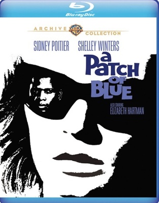A Patch of Blue Book Cover