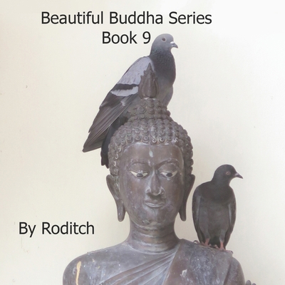 Beautiful Buddha Series: Book 9 B0BW23B2GV Book Cover
