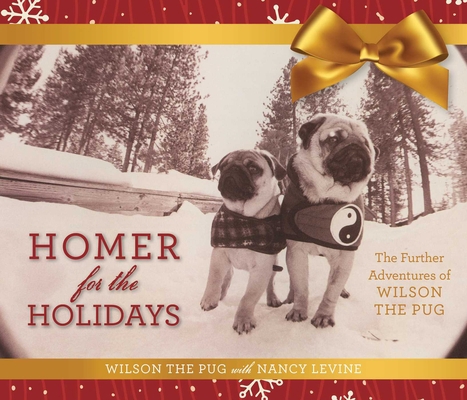 Homer for the Holidays: The Further Adventures ... 1510714421 Book Cover