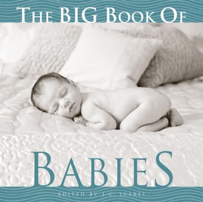 The Big Book of Babies 1599620413 Book Cover